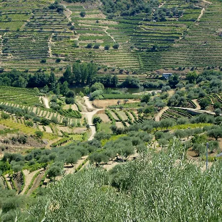 Casa Oliveiras Do Douro Sobreira