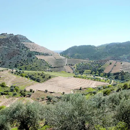 Farm stay Casa Oliveiras Do Douro *