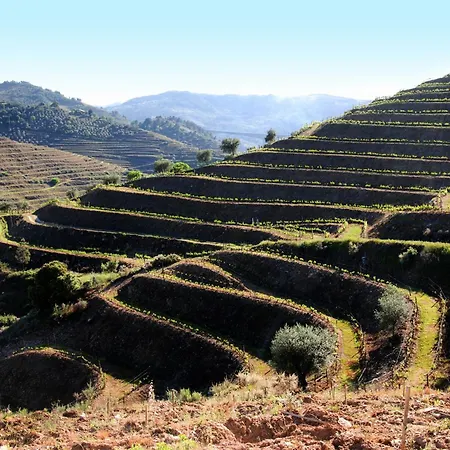 Κατάλυμα σε φάρμα Casa Oliveiras Do Douro Sobreira
