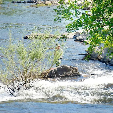 Alloggio per agriturismo Casa Oliveiras Do Douro