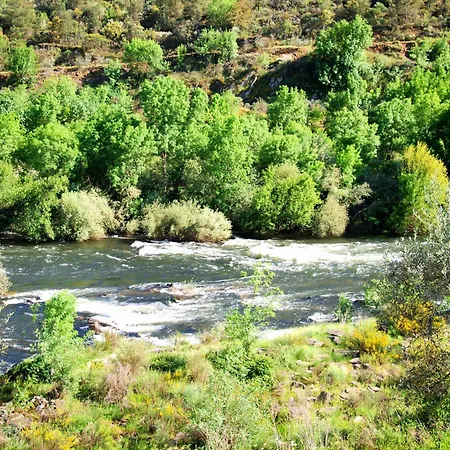 Casa Oliveiras Do Douro Sobreira