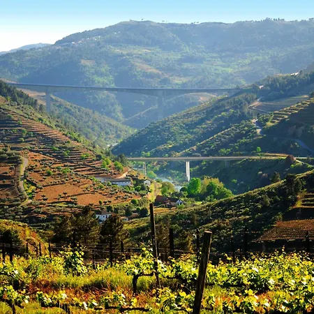 Κατάλυμα σε φάρμα Casa Oliveiras Do Douro