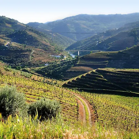 Casa Oliveiras Do Douro Sobreira