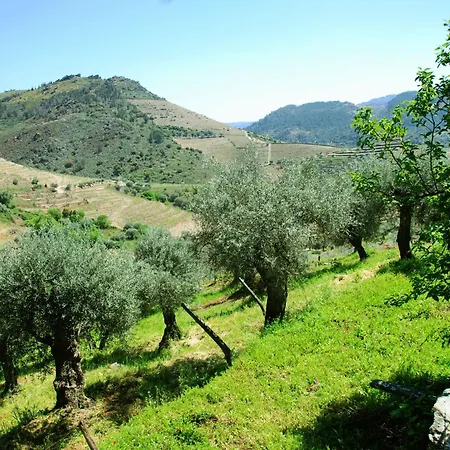 Casa Oliveiras Do Douro Sobreira