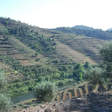 Agroturismo Casa Oliveiras Do Douro *