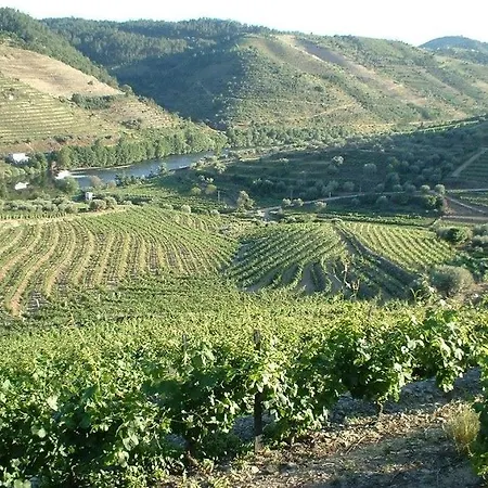 ファームステイ Casa Oliveiras Do Douro