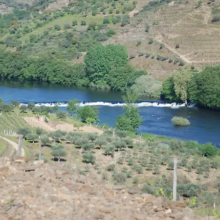 ファームステイ Casa Oliveiras Do Douro Sobreira