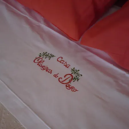 Casa Oliveiras Do Douro