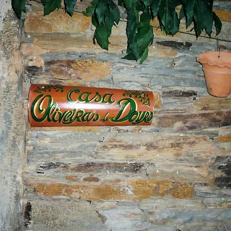 Farm stay Casa Oliveiras Do Douro Sobreira