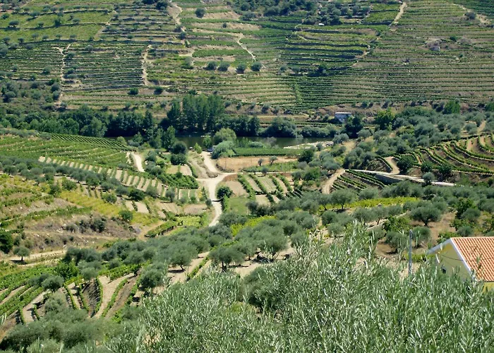 Casa Oliveiras Do Douro Sobreira