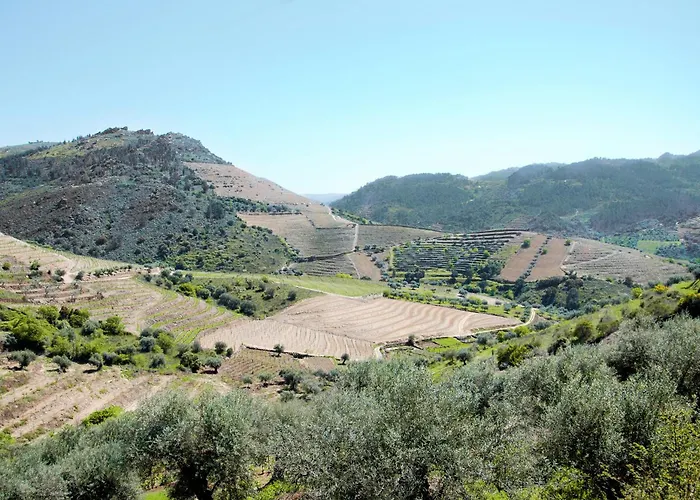 Κατάλυμα σε φάρμα Casa Oliveiras Do Douro *