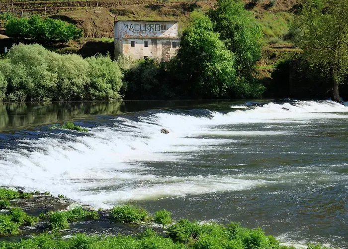 مزرعة للإقامة Casa Oliveiras Do Douro