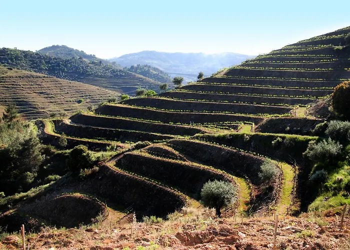 Κατάλυμα σε φάρμα Casa Oliveiras Do Douro Sobreira