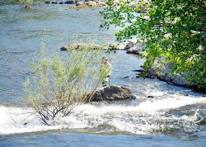 مزرعة للإقامة Casa Oliveiras Do Douro