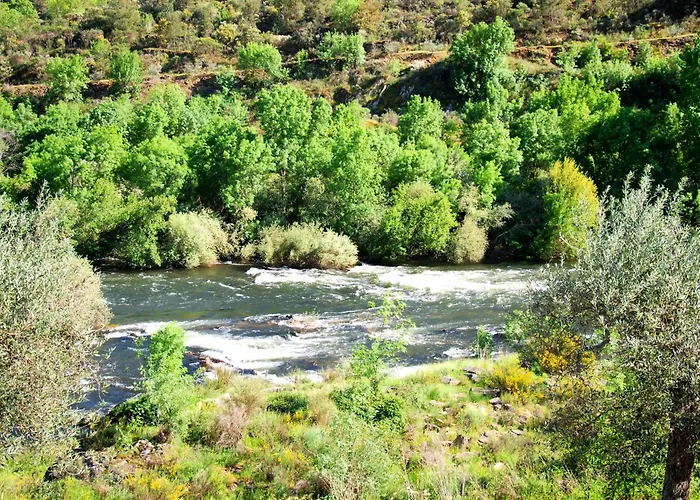 Casa Oliveiras Do Douro Sobreira