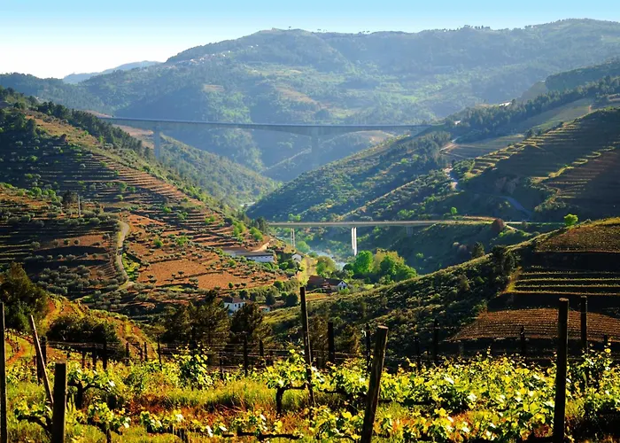 Κατάλυμα σε φάρμα Casa Oliveiras Do Douro
