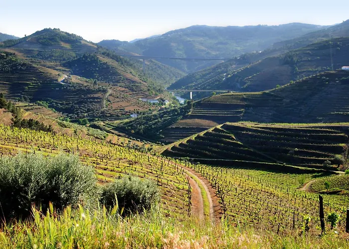 Casa Oliveiras Do Douro Sobreira