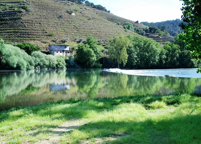 Casa Oliveiras Do Douro Sobreira