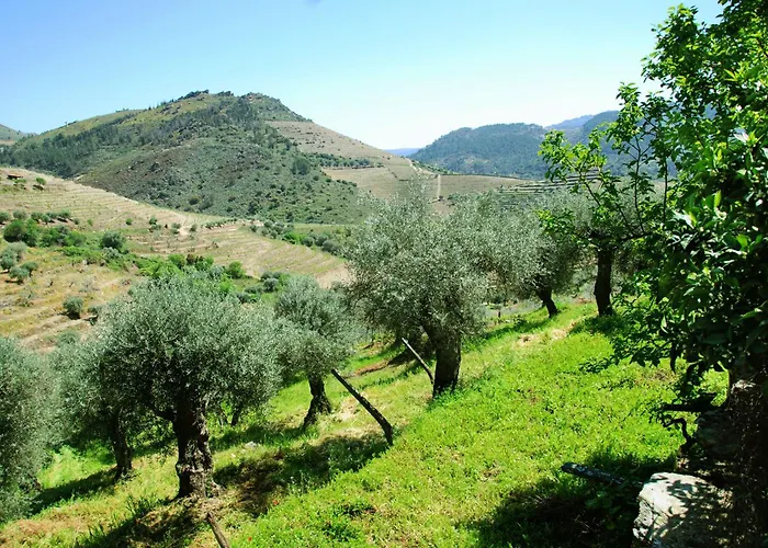 Casa Oliveiras Do Douro Sobreira