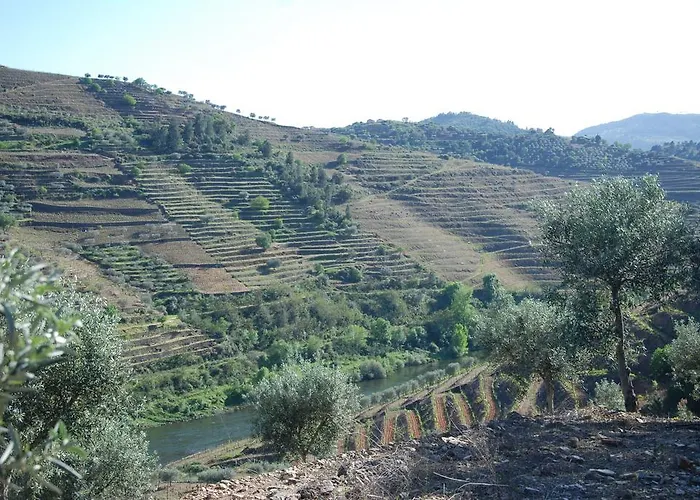 مزرعة للإقامة Casa Oliveiras Do Douro *
