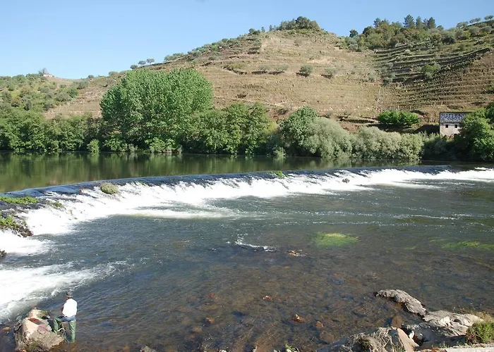 Casa Oliveiras Do Douro Sobreira