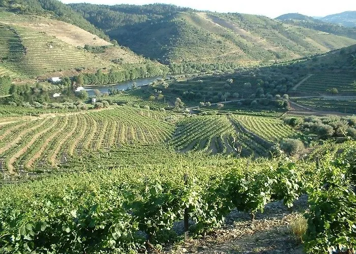 Κατάλυμα σε φάρμα Casa Oliveiras Do Douro