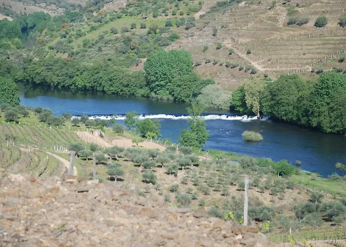 مزرعة للإقامة Casa Oliveiras Do Douro Sobreira